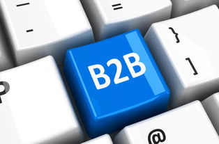 B2B電商 傳統企業轉型變革的新引擎與戰略高地
