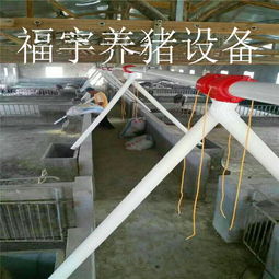 福宇畜牧 自動(dòng)化料線賦能牧場(chǎng)，一次投資開(kāi)啟終身效益新篇章